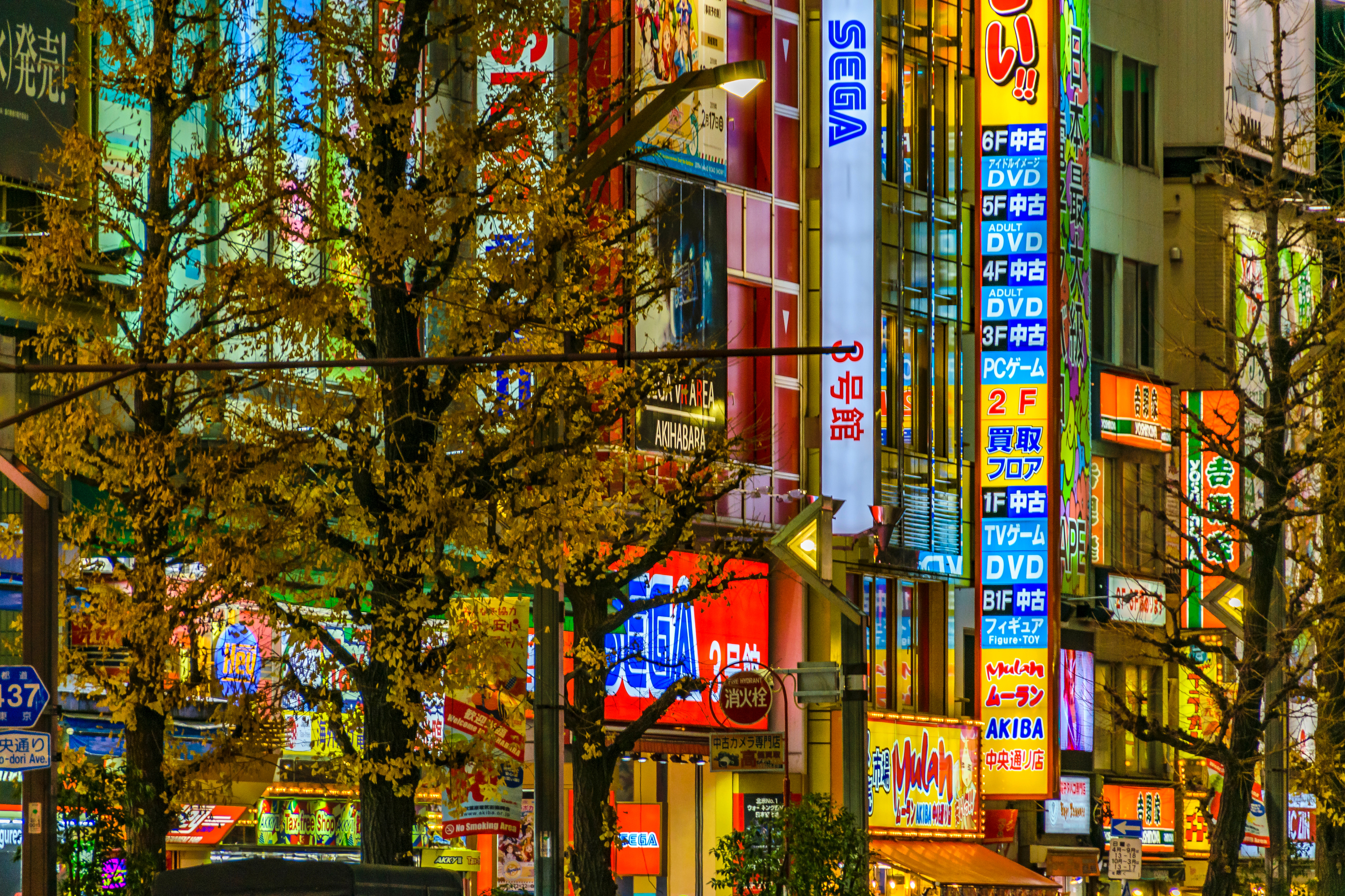 Night Urban Scene at Akihabara Neighborhood, Tokyo, Japan