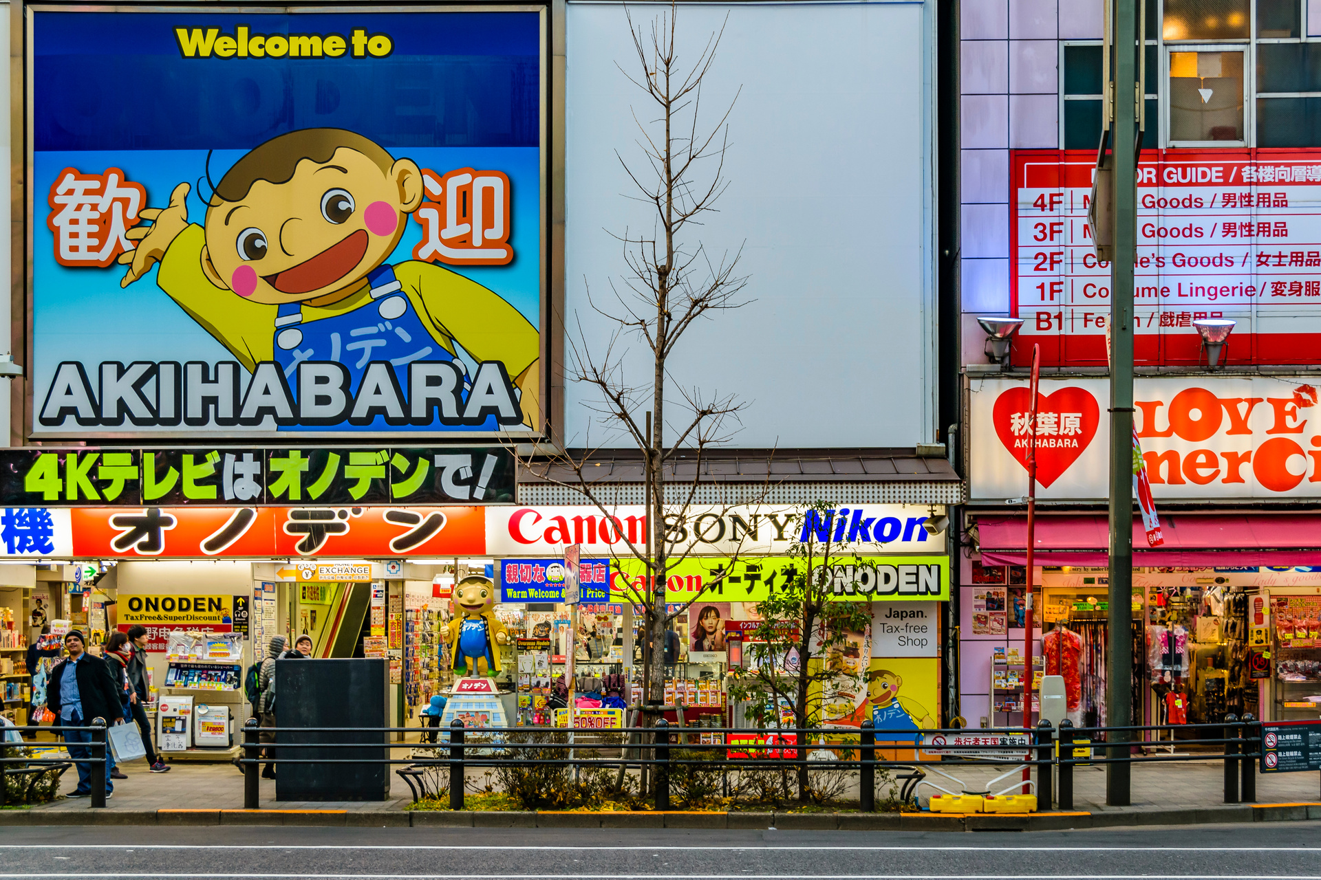 Akihabara Zone Urban Scene, Tokyo, Japan
